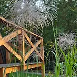 Tatil Evi Brda Na Skraju Lasu