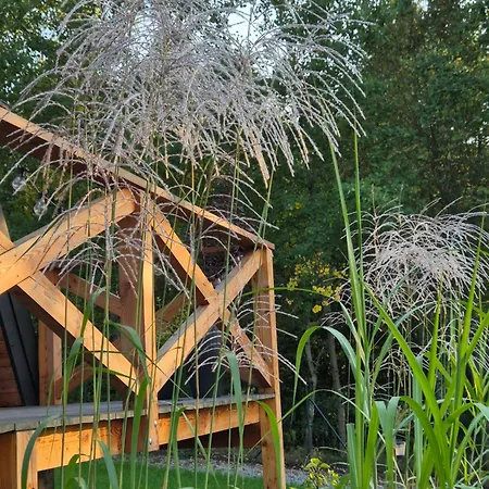 Holiday home Brda Na Skraju Lasu
