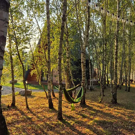 Brda Na Skraju Lasu