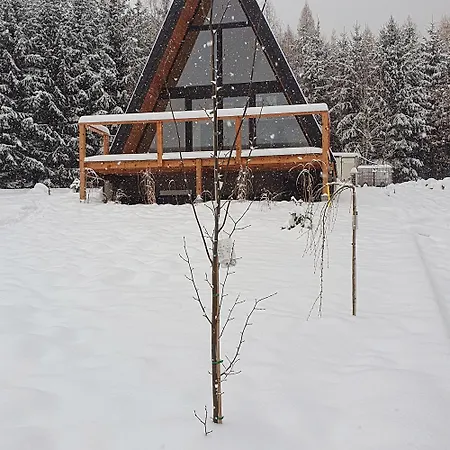 Brda Na Skraju Lasu
